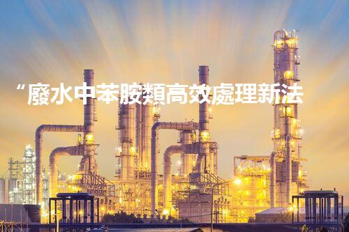 “廢水中苯胺類高效處理新法，環(huán)保先鋒引領綠色以后”